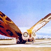 Mothra