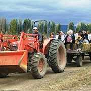 Hay Rides