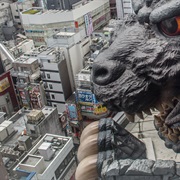 Ruined Tokyo (Godzilla)