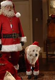 Richard Riehle in the Search for Santa Paws (2010)