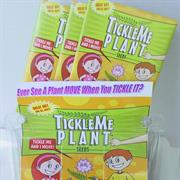 Tickleme Plant  Greenhouse