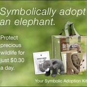 Symbolically Adopted an Elephant