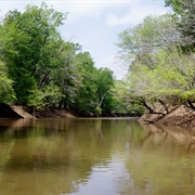 Federally Protected Areas of Texas