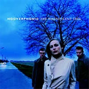 Hooverphonic- The Magnificent Tree