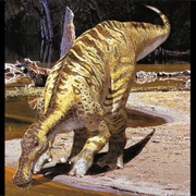 Anatotitan