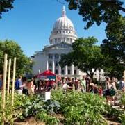 The Dane County Farmers Market