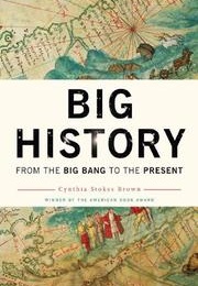 Big History: From the Big Bang to the Present (Cynthia Stokes Brown)