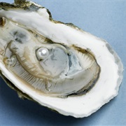 Find a Pearl in an Oyster