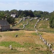 Why Were the Carnac Stones Erected?