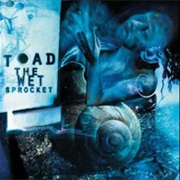 Toad the Wet Sprocket - Crazy Life