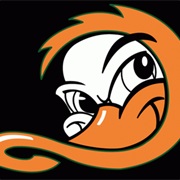 Long Island Ducks (IND)