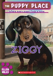 Puppy Place: Ziggy (Ellen Miles)