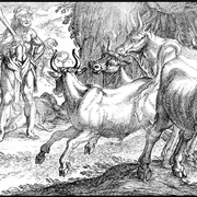 10. Obtain the Cattle of the Three-Bodied Giant Geryon