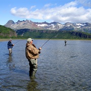 Fish in Alaska