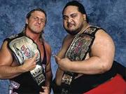 Owen Hart &amp; Yokozuna