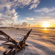 Little St. Simons Island, the Golden Isles, Georgia