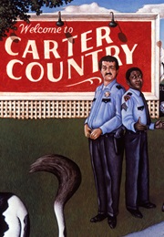 Carter Country (1977-1979 {44 Episodes}) (1977)