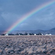 Desert Biosphere Reserve and Experimental Range