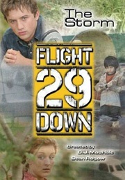 Flight 29 Down: The Storm (Brad Strickland)