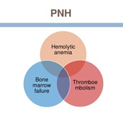 Paroxysmal Nocturnal Hemoglobinuria (PNH)