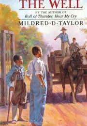 The Well:  David&#39;s Story (Mildred D. Taylor)