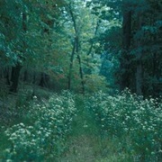 Florence Jones Reineman Wildlife Sanctuary