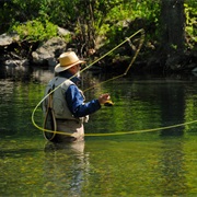 Learn How to Fly Fish