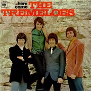 The Tremeloes