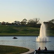 Paddle Boats in Forest Park