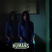 Humans