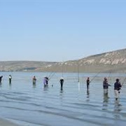 Langebaan Fishing