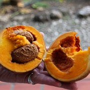 Mammee / South American Apricot (Mammea Americana)