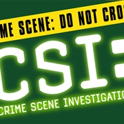 CSI Season 1