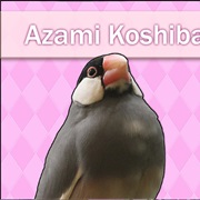 Azami Koshiba