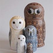 Nesting Owls