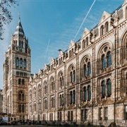 Natural History Museum--London, England