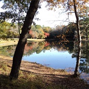 Aiken State Natural Area, South Carolina