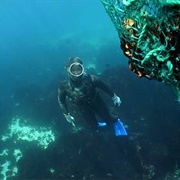 Jeju Haenyeo (Women Divers) - Korea