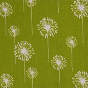 Dandelions