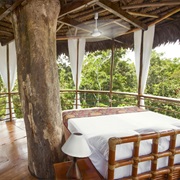 Amazon Jungle Lodge Stay