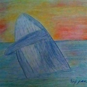Blue Whale (Meagan Scribner)