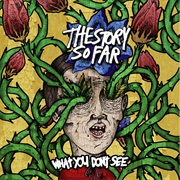The Story So Far- What You Don&#39;t See