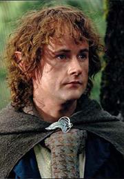 Peregrin Took