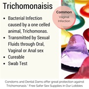 Trichomonas Infection (Trichomoniasis)