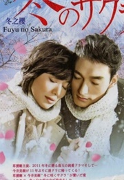 Fuyu No Sakura (2011)