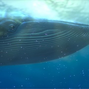 Whale