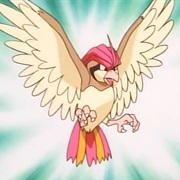 Pidgeotto