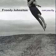 Can You Fly