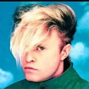 Flock of Seagulls Haircut