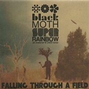 Black Moth Super Rainbow- Falling Through a Field